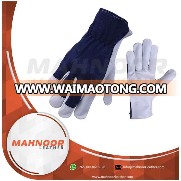 Blue Jersey Precision Cotton Back Sodt Driver Goat Leather Gloves